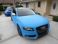 /album/fotogaleria-ochranny-nater-plasti-a-racer-dip/modra-blaze-jpg/